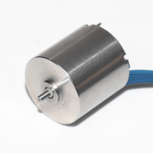 17mm Diameter 18mm Length Brushelss Coreless DC Motor 1718RB