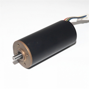 32mm Diameter 70mm Length Brushelss Coreless DC Motor 3270RB