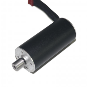 24mm Diameter 53mm Length Brushelss Coreless DC Motor 2453RB