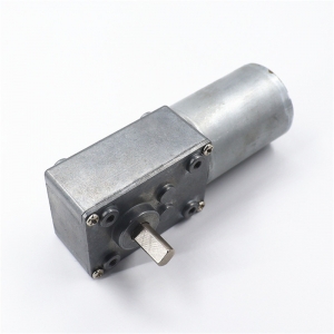 58mm Diameter 40mm Length Brushless Worm Gear Motor KG-5840Z3650